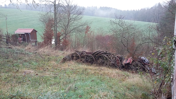 Ein Teil des Gartens - der kleine Schuppen gehört nicht mehr dazu.