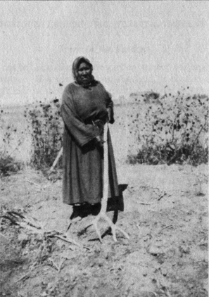 Hidatsa.gif