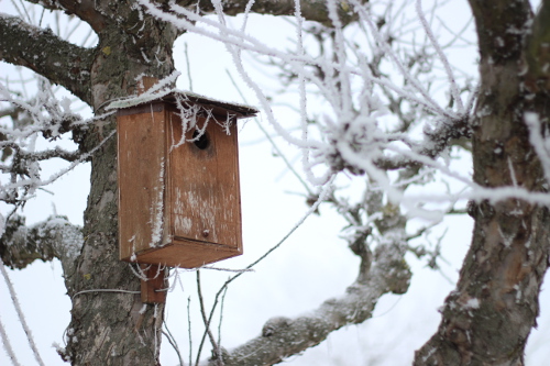 vogelhaus_im_winter.jpg