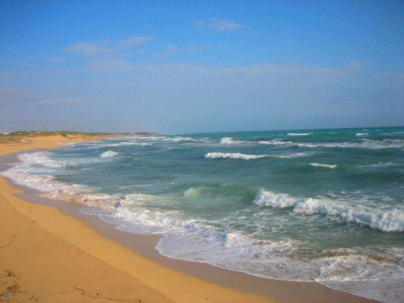 Mare im Herbst 1.JPG