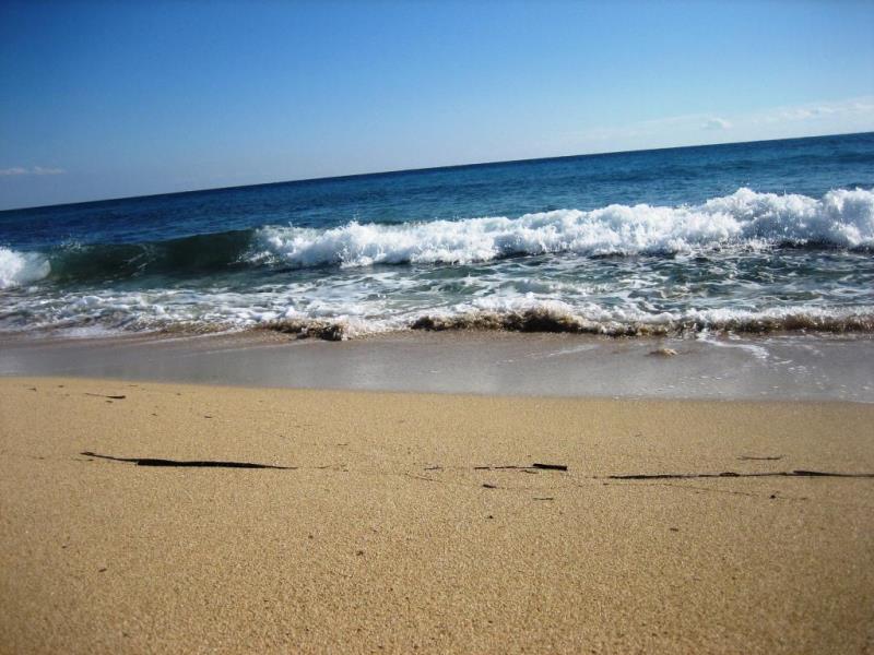 Mare im Herbst 2.JPG