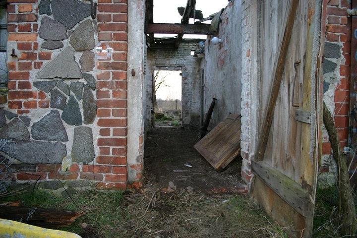 IMG_6517.jpg