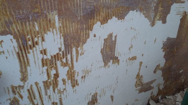 20160206_105206.jpg