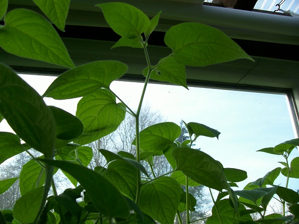 100_0860.JPG