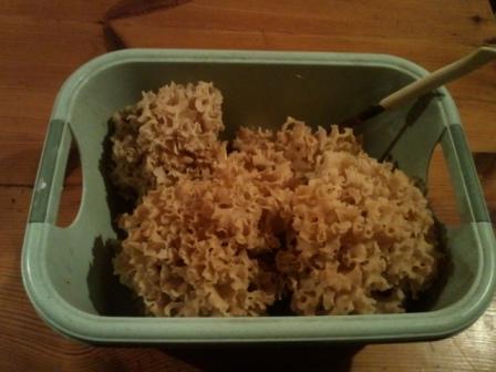 2011-10-25 06.47.21.jpg