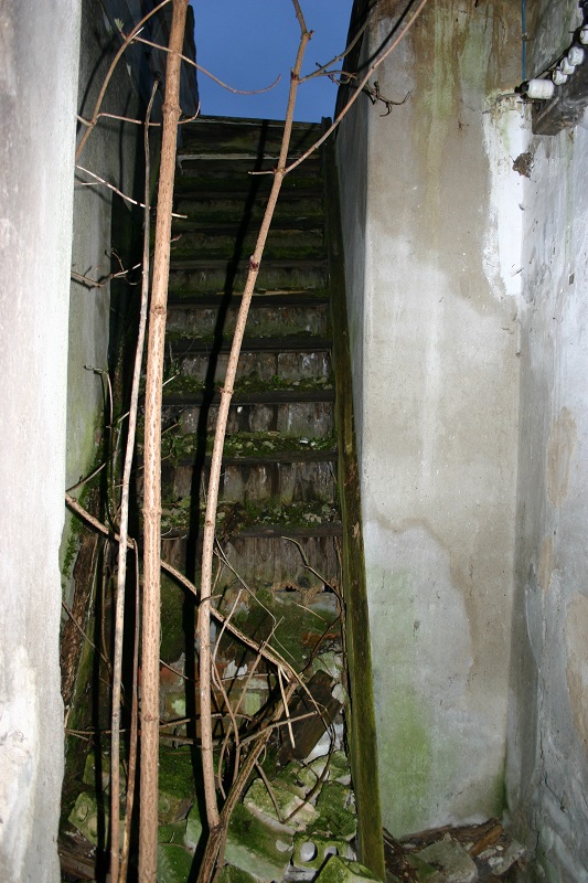 IMG_6755.jpg