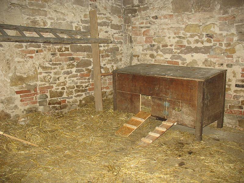 IMG_4560.jpg