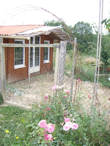Rosarium Uetersen.JPG