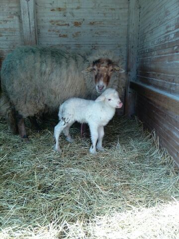 Mutter und Sohn