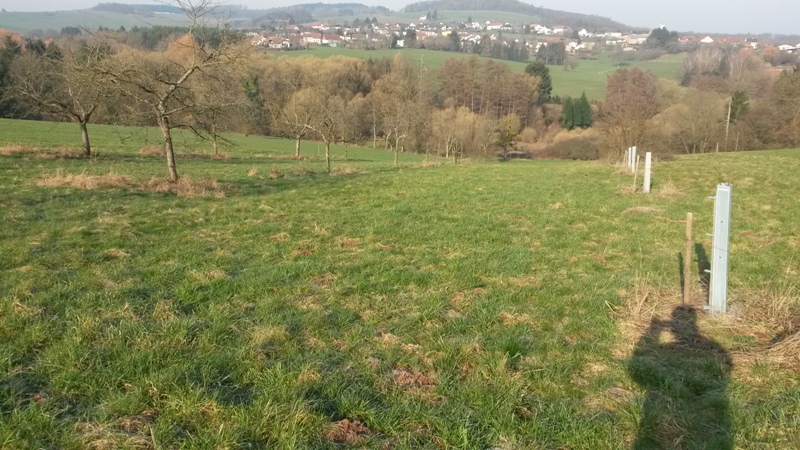 Obstwiese unten_klein.jpg