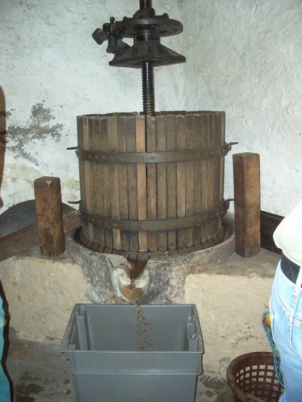 CIMG8195.JPG