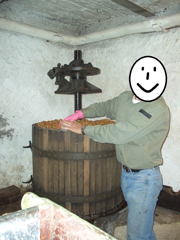 CIMG8201.JPG