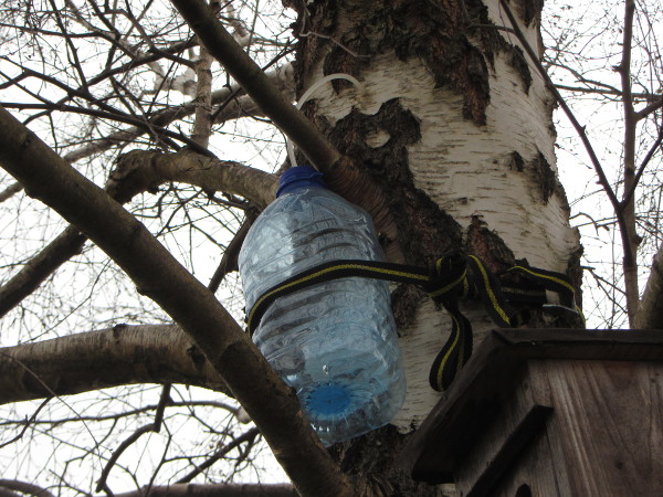 fuenf_liter_birkenwasser.jpg