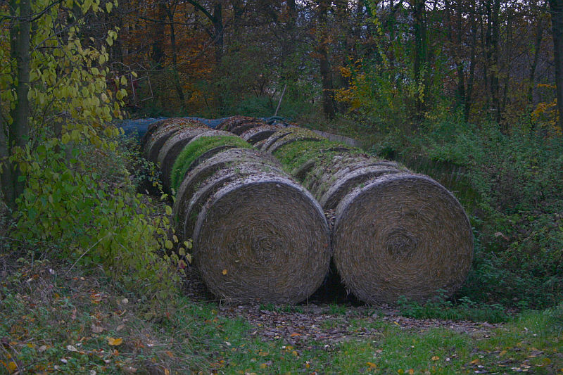 2011-11-05_2.jpg