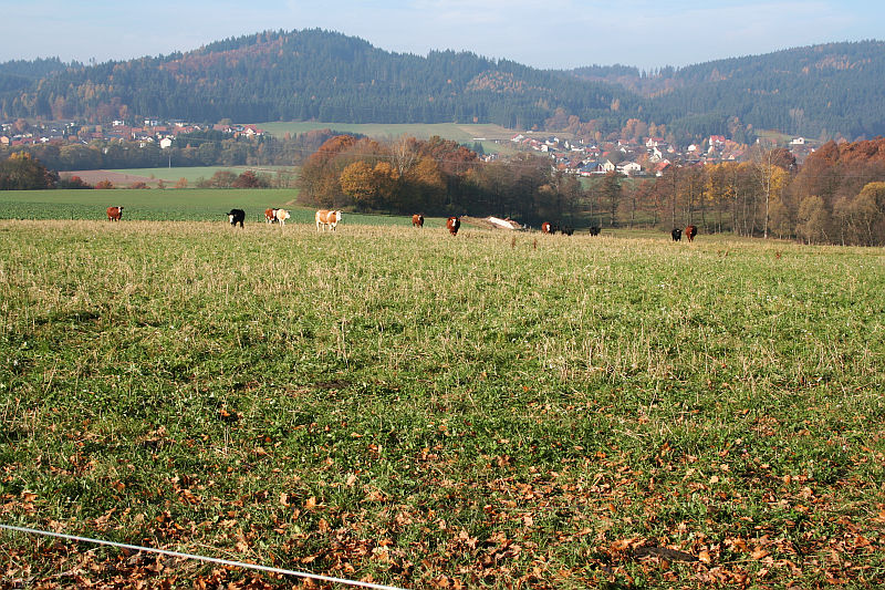 2011-11-06_1.jpg