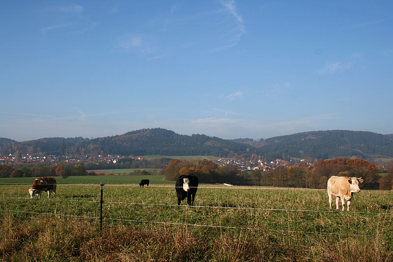 2011-11-06_6.jpg