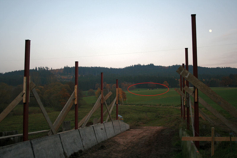 2011-11-07_1.JPG