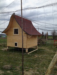 Hühnerstall.jpg