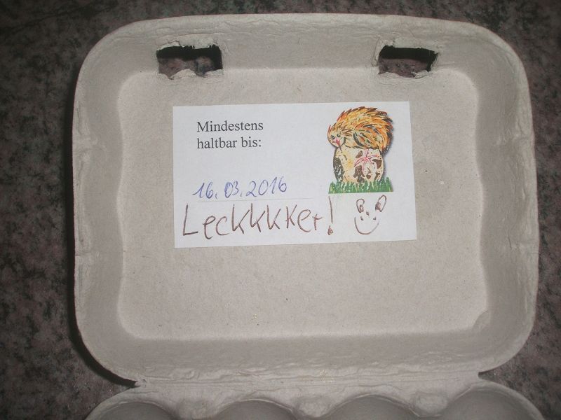 k-wep.jpg
