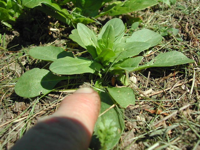 DSCN7081.JPG