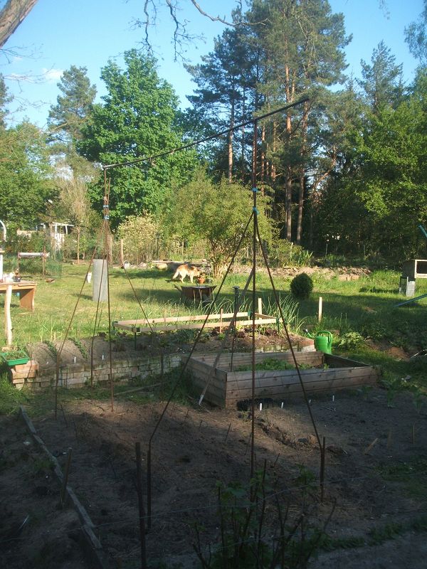 k-bohnen1.jpg