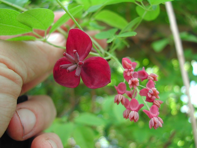 DSCN7095.JPG