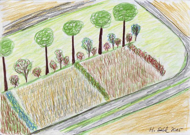 Meine Agroforstvision