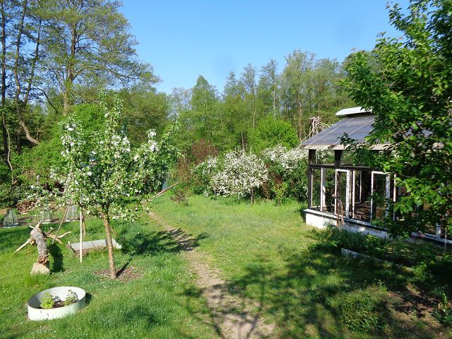 k-DSC00924.JPG