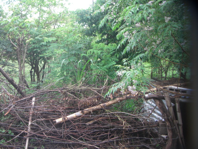 CIMG0794.JPG