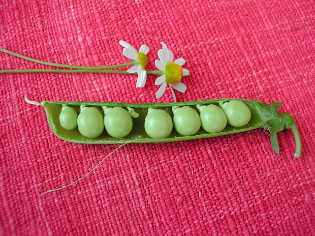 DSCN7194.JPG