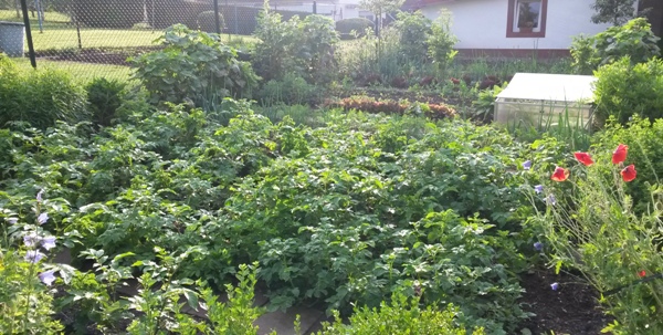 20160614_200647.jpg