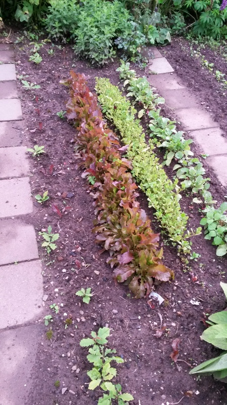 20160614_201932.jpg