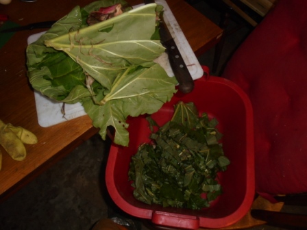 DSC00589.JPG