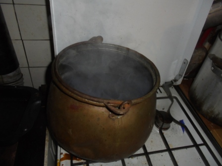 DSC00591.JPG