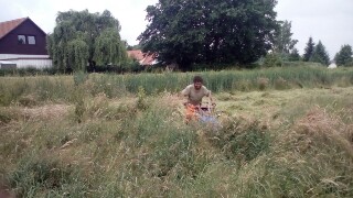 Tom beim mähen.