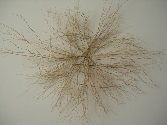 DSCN5130.JPG