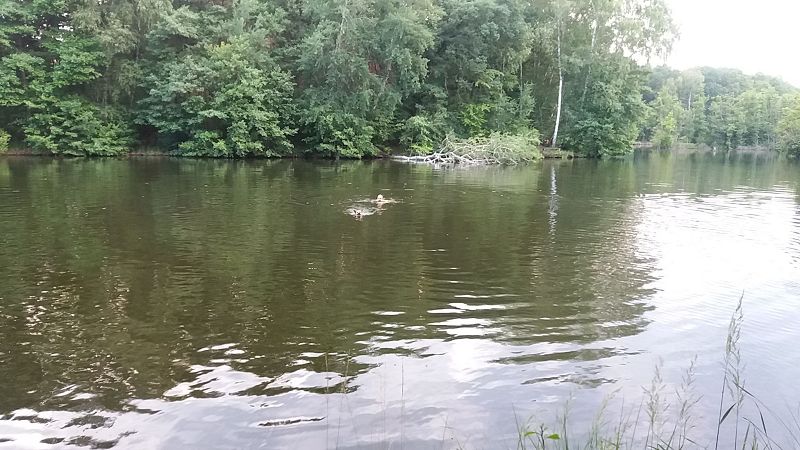 k-am_see2.jpg