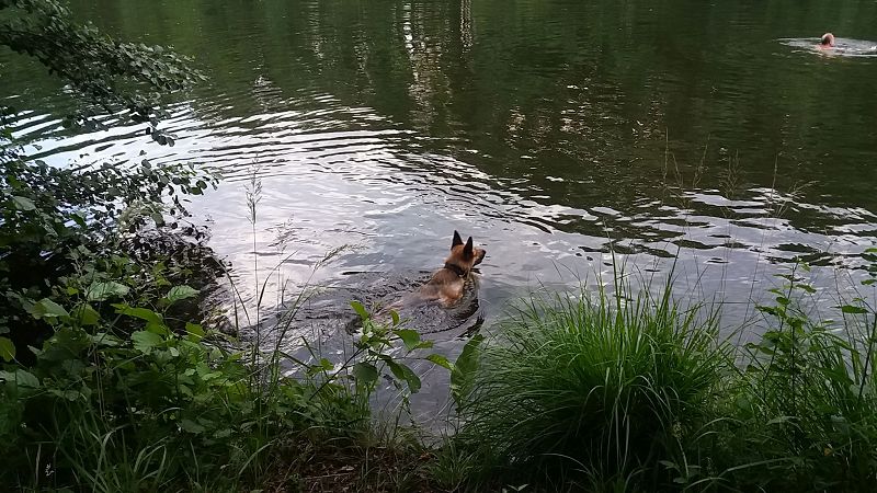 k-am see1.jpg