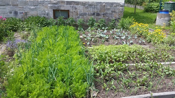 Gartenbeet1.jpg