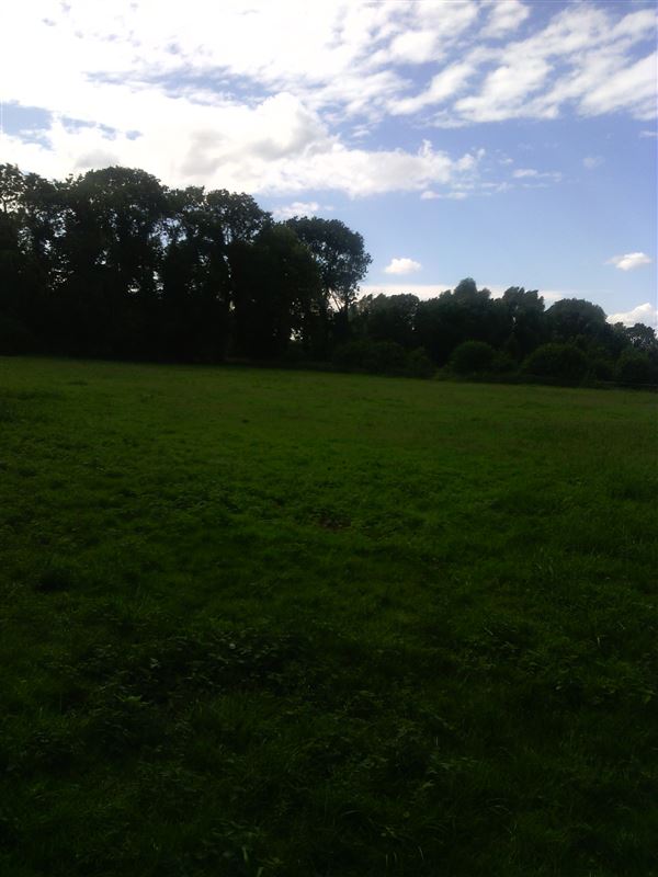 IMG_20160702_164153.jpg