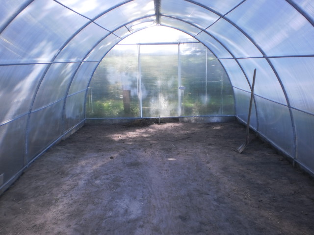 Blick ins neue Gewächshaus
