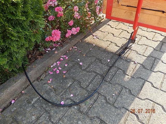 Wagensicherung an Hecke, verkl..jpg