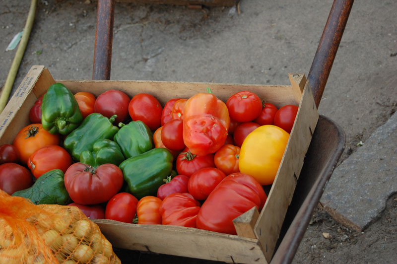 DSC_8527010.jpg