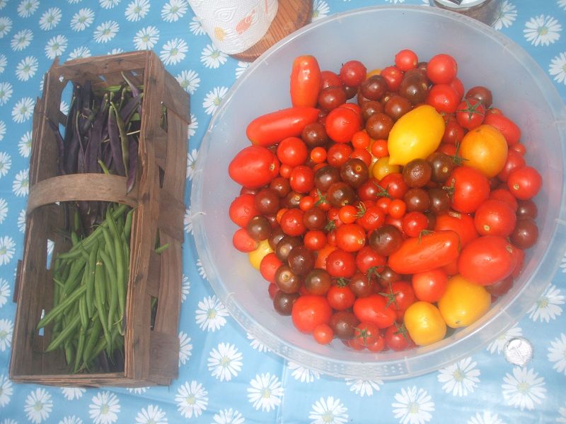 k-5tomaten.jpg