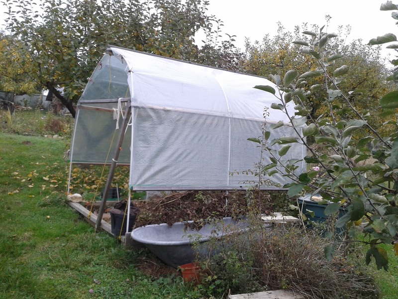 Von der Seite - Jetzt keine Tomaten mehr, aber ein prima Platz zum Trocknen...