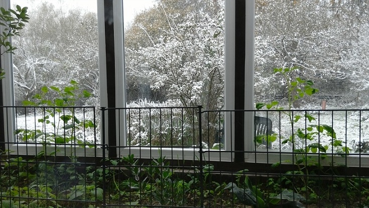 winter.jpg
