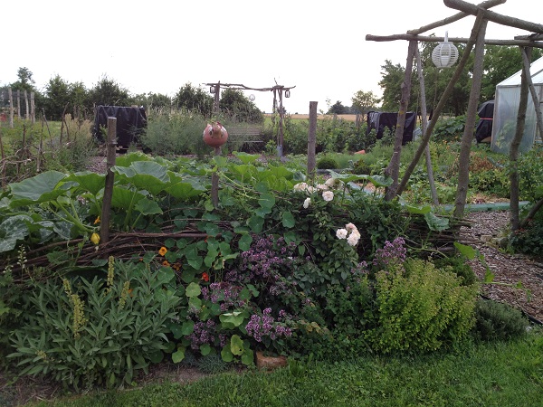 Gemüsegarten.jpg