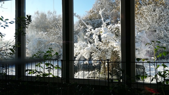 winter2.jpg