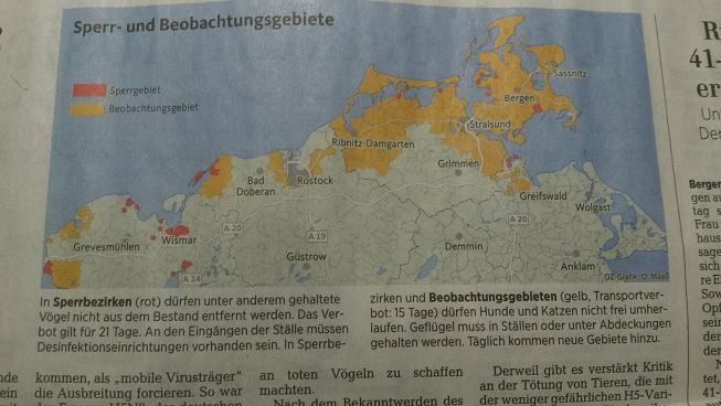 Quelle - Ostsee-Zeitung.JPG