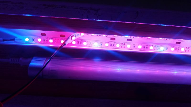 k-8led.jpg